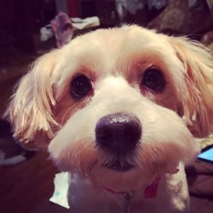 Meet your Posher, Peggy